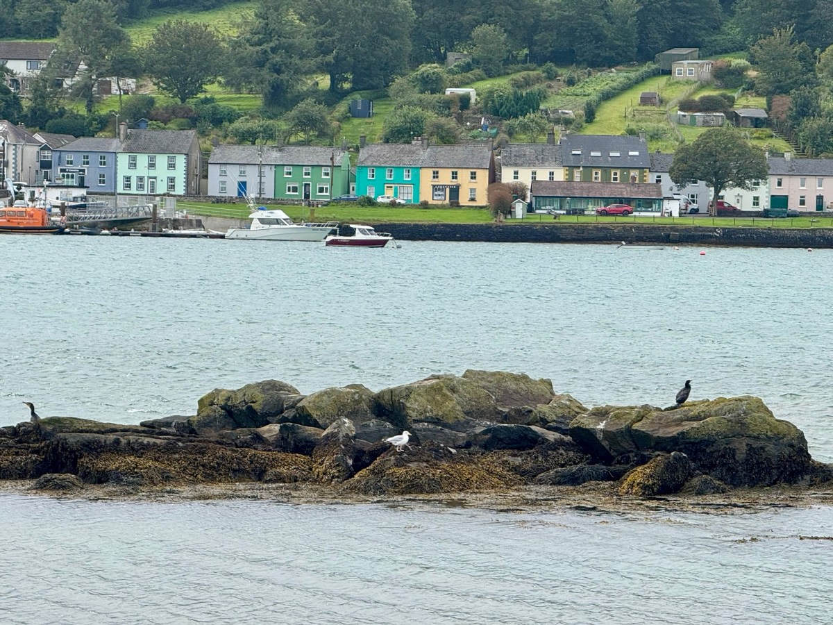 Ireland Day 1: Kinsale to Clonakilty | 38 Miles, 2,500 Feet Elevation | What We’ve Learned&nbsp;Already